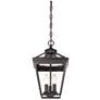 7_Ellijay 3-Light Outdoor Hanging Lantern in English Bronze more views