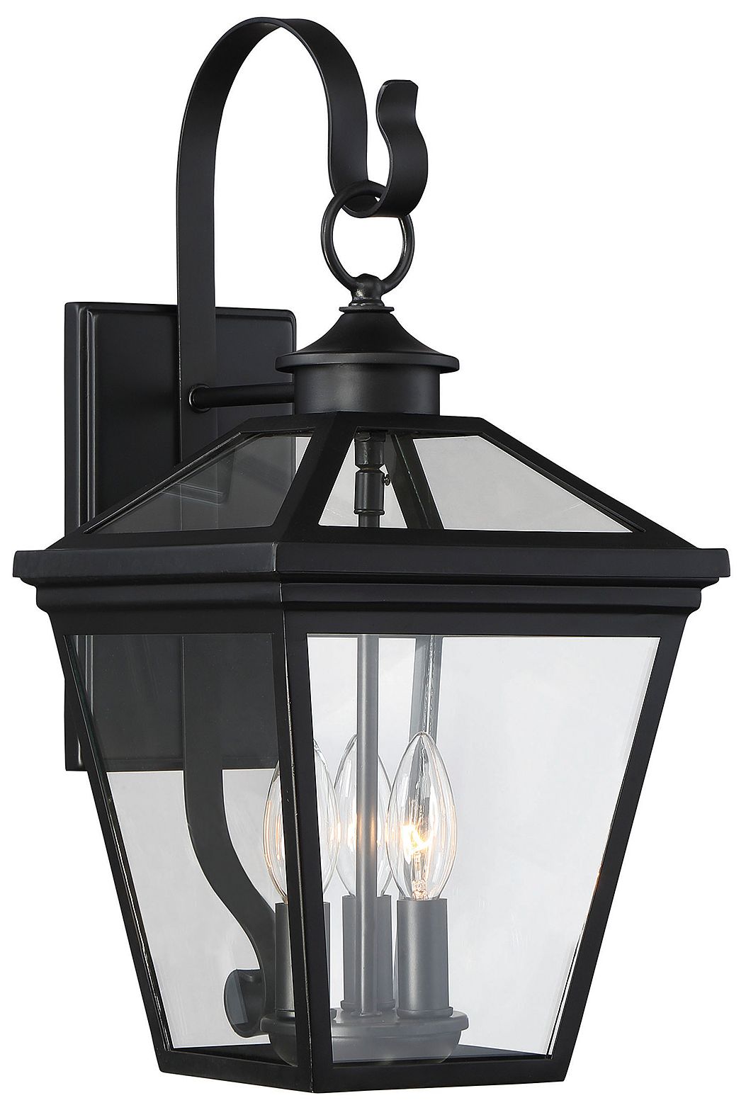 Ellijay 3-Light Outdoor Wall Lantern in Black