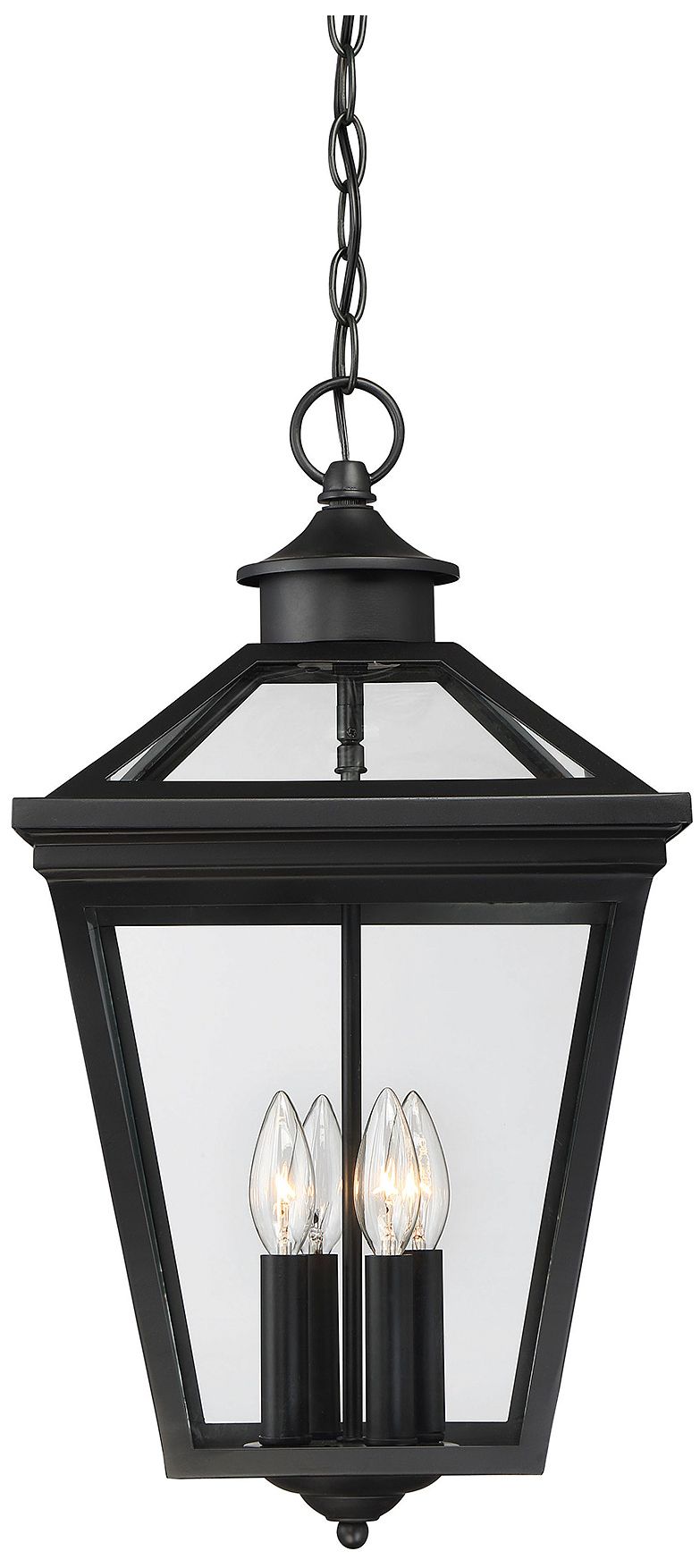Ellijay 4-Light Outdoor Hanging Lantern in Black