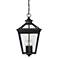 Ellijay 4-Light Outdoor Hanging Lantern in Black