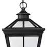 Ellijay 4-Light Outdoor Hanging Lantern in Black in scene