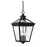 Ellijay 4-Light Outdoor Hanging Lantern in Black in scene