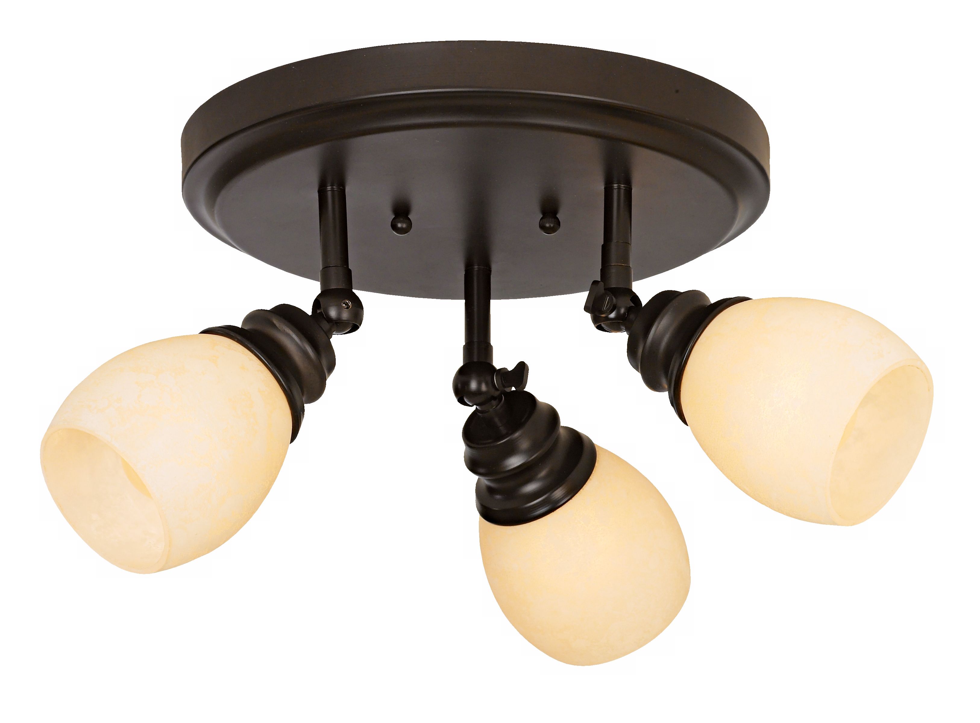 Elm Park Collection Bronze 3-Light Adjustable Light Fixture