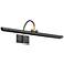 Elowen 24" Wide Aged Old Bronze and Brass LED Picture Light