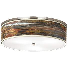 Image1 of Embracing Change Giclee Nickel 20 1/4" Wide Ceiling Light