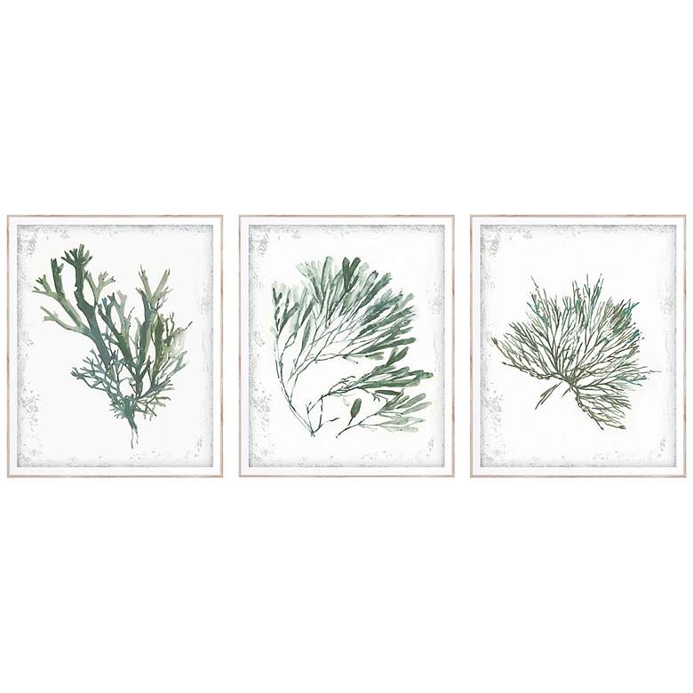 Image 2 Emerald Coral I 22" High 3-Piece Giclee Framed Wall Art Set