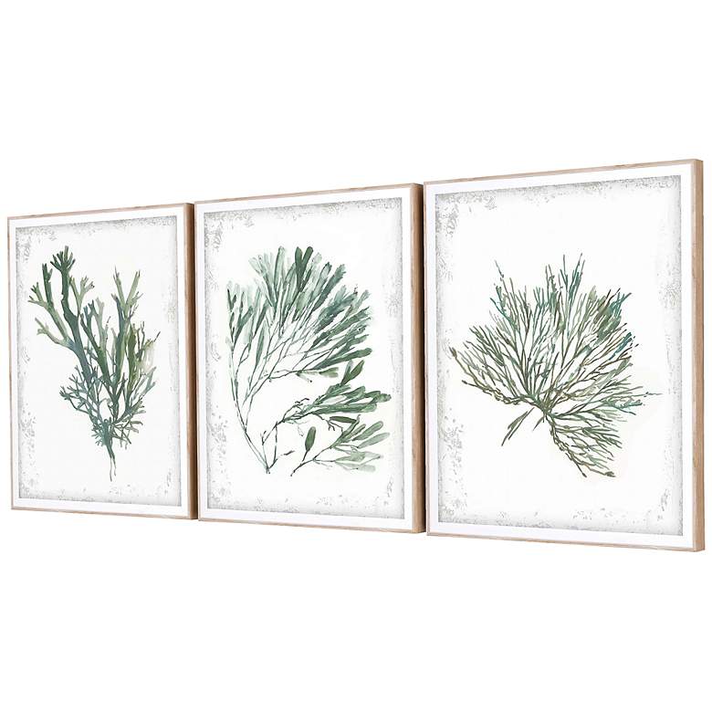 Image 4 Emerald Coral I 22" High 3-Piece Giclee Framed Wall Art Set more views