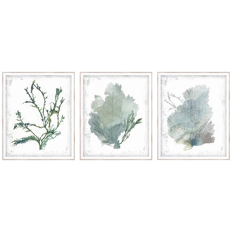 Image 2 Emerald Coral II 22 inch High 3-Piece Giclee Framed Wall Art Set