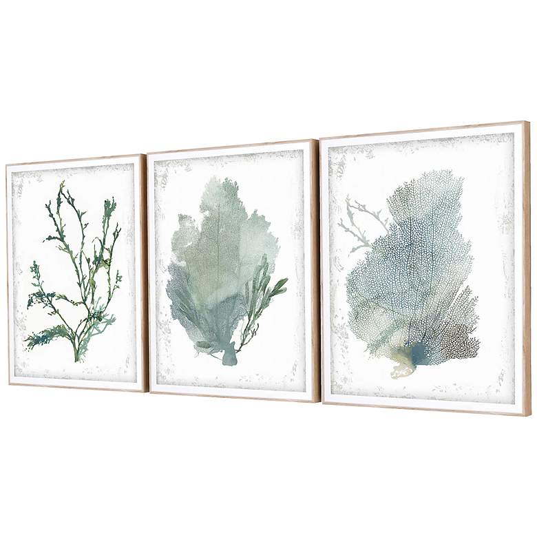 Image 4 Emerald Coral II 22" High 3-Piece Giclee Framed Wall Art Set more views
