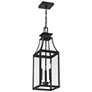 3_Emery 3-Light Outdoor Hanging Lantern in Matte Black more views