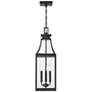 4_Emery 3-Light Outdoor Hanging Lantern in Matte Black more views