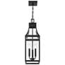 5_Emery 3-Light Outdoor Hanging Lantern in Matte Black more views