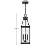 6_Emery 3-Light Outdoor Hanging Lantern in Matte Black more views