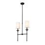 6_Emily by Z-Lite Matte Black 2 Light Island Pendant more views