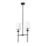 Emily by Z-Lite Matte Black 2 Light Island Pendant