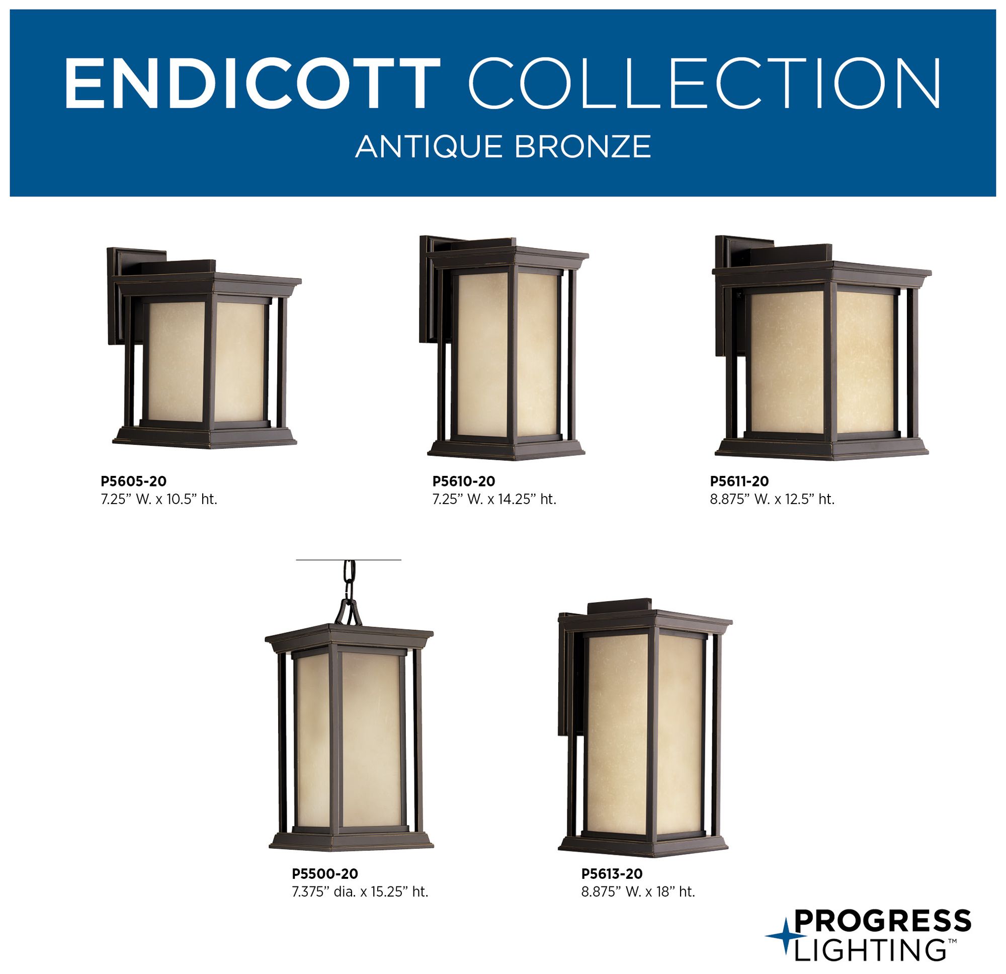 Endicott Collection One-Light Extra-Large Wall Lantern