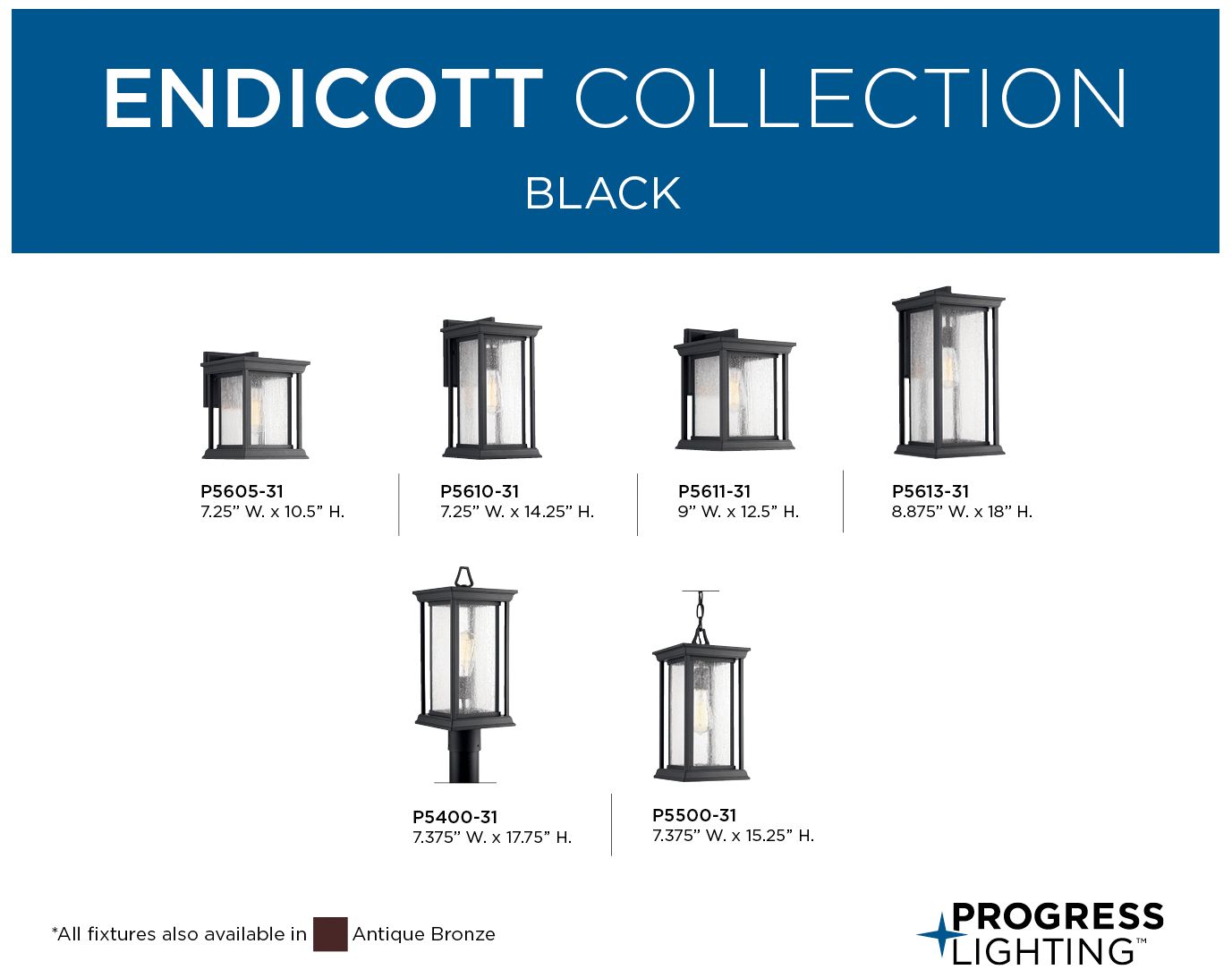 Endicott Collection One-Light Hanging Lantern