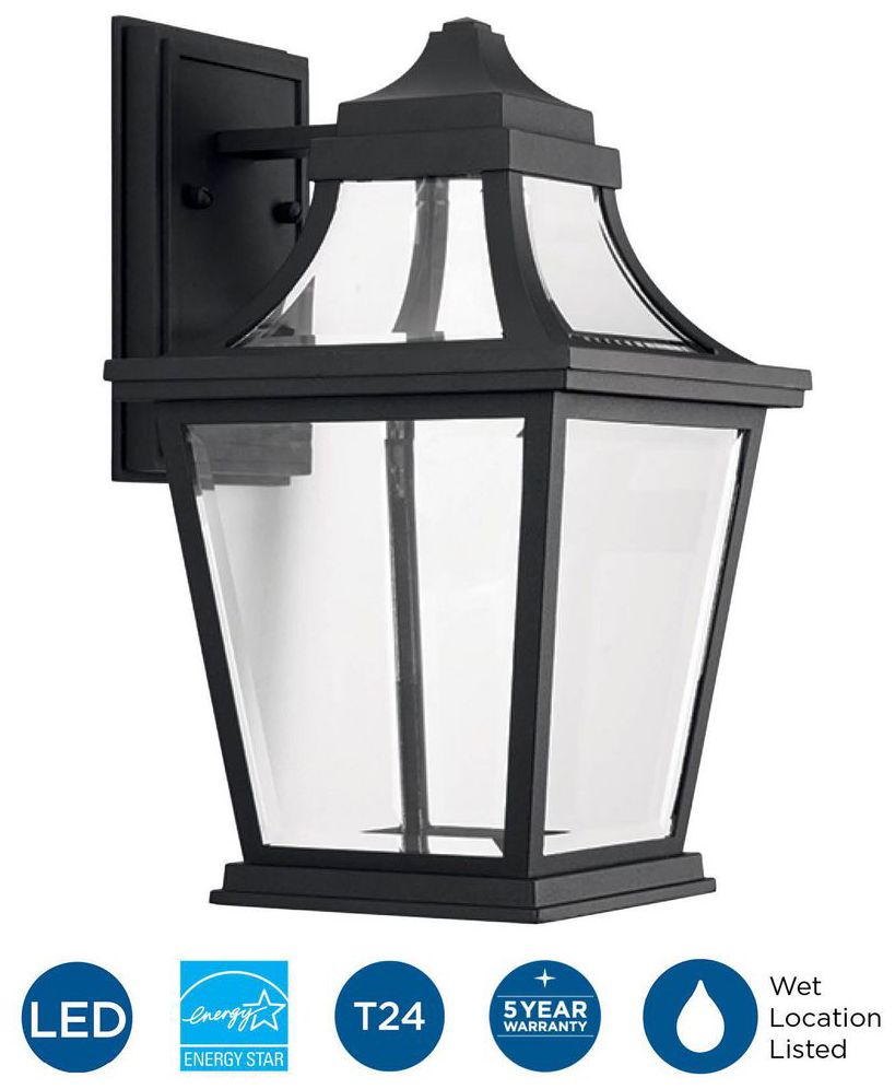 Endorse Collection One-Light Medium Wall Lantern
