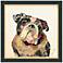 English Bulldog 17" Square Dimensional Framed Wall Art