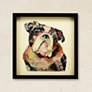 1_English Bulldog 17" Square Dimensional Framed Wall Art