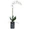 Eponine White Orchid 34 1/4"H Faux Flower in Gray Planter