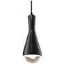 1_Erlen Pendant - Carbon Black - Matte Black - Black Cord