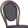 Erlend Black and Brown Outdoor Stacking Side Chairs Set of 2 in scene