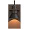 Erlenmeyer 11.3"H Rubbed Bronze Accented Bronze Dark Sky Outdoor Sconc