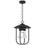 Erlenmeyer 16.9" High Coastal Black Outdoor Pendant With Clear Glass S