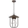 Erlenmeyer 16.9" High Coastal Bronze Outdoor Pendant With Clear Glass 