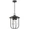 Erlenmeyer 16.9"H Oil Rubbed Bronze Outdoor Pendant w/ Clear Glass Sha