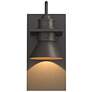 Erlenmeyer Dark Sky Outdoor Sconce - Iron Finish - Smoke Accents