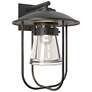 Erlenmeyer Large Outdoor Sconce - Black Finish - Clear Glass
