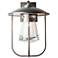 Erlenmeyer Large Outdoor Sconce - Smoke Finish - Clear Glass