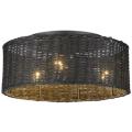 Golden Lighting Erma Black Collection