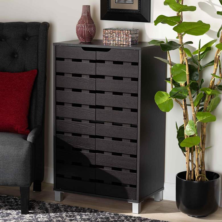 Image 1 Ernest 23" Wide Dark Brown Wood 2-Door Shoe Storage Cabinet