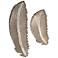 Eshe 35" High 2-Piece Carved Feather Wall Art Set