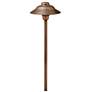 Essence Hammered 17"H Copper Path Light by Hinkley Lighting
