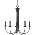 Livex Lighting Estate Black Collection