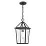 2_Eston 16 1/2" High Textured Black Outdoor Hanging Light more views