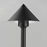 4_ET2 Alumilux: Landscape 29 3/4" High Black Cone Light more views