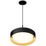 1_ET2 Echo 16" Wide Black LED Pendant Light