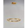3_ET2 Groove 23 1/2" Wide Gold LED Ring Pendant Light more views