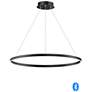 2_ET2 Groove 39 1/2" Wide Black LED Ring Pendant Light