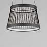 4_ET2 Loom 20" Black LED Pendant more views