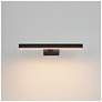 4_ET2 Pasha 19" Black LED Picture Light more views