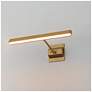 5_ET2 Pasha 19" Gold LED Picture Light more views