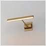 5_ET2 Pasha 23" Gold LED Picture Light more views