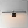 4_ET2 Pasha 30" Black LED Picture Light more views