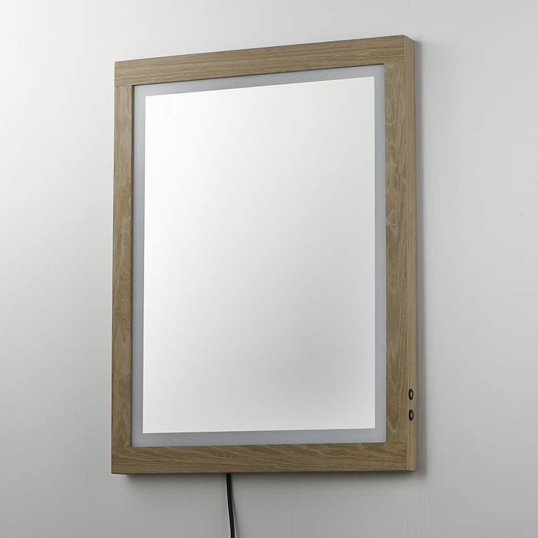 Image 3 ET2 Sawyer 24" x 32" Oak Framed LED Mirror more views